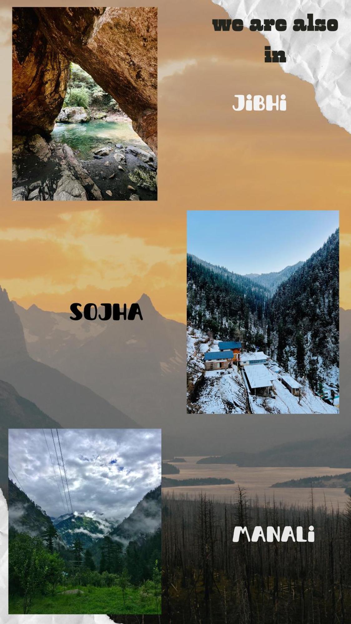 Hostel 360 Degree Manali  Ngoại thất bức ảnh